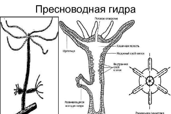 Kraken оригинальная ссылка